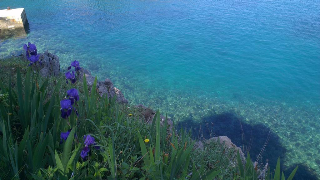 Apartment Bakarić Veli Losinj Ruang foto